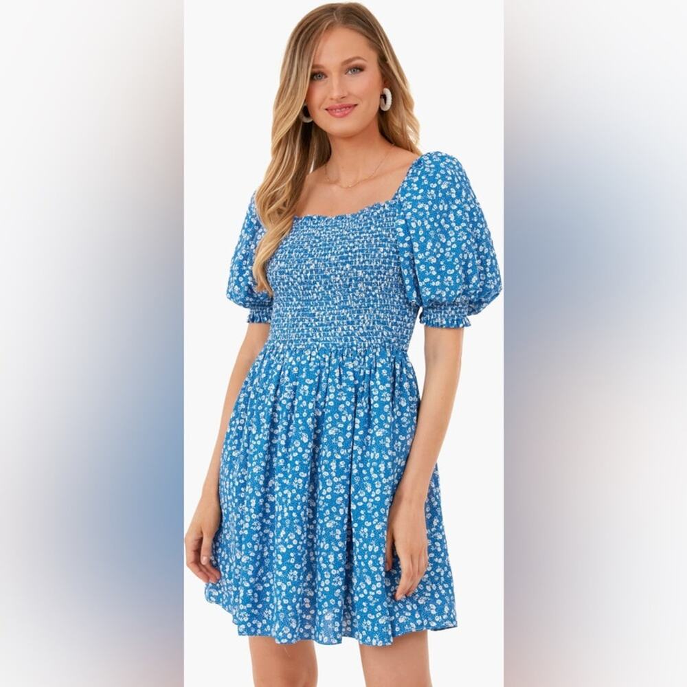 Tuckernuck Hyacinth House Ditsy Floral Pai Dress - Picture 2 of 8